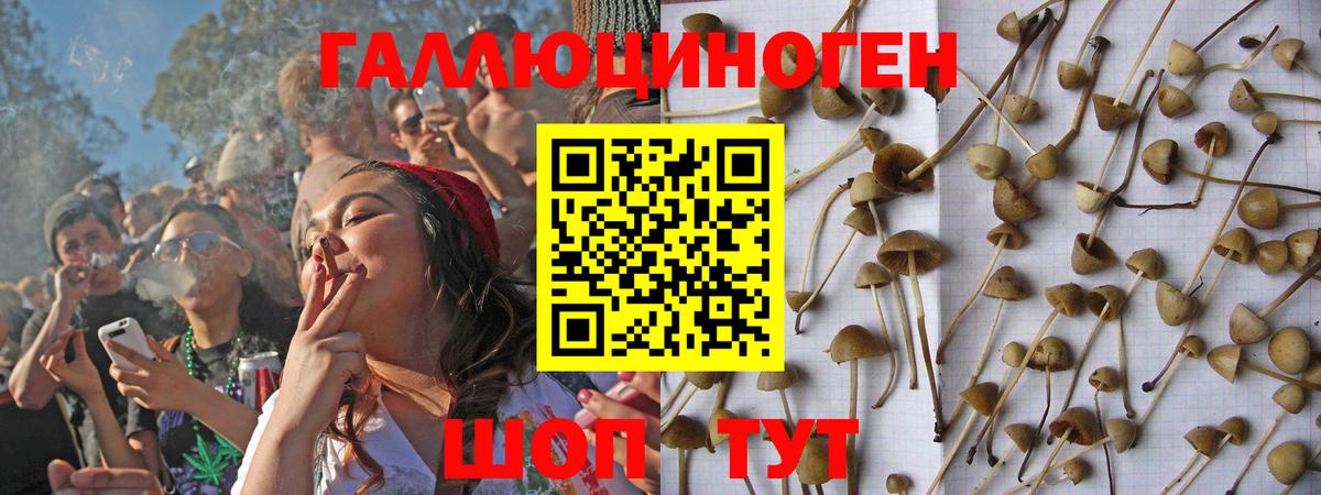 Галлюциногенные грибы прущие грибы Протвино