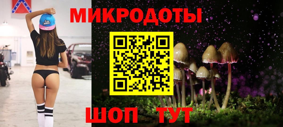 Псилоцибиновые грибы Psilocybe  цена наркотик  Протвино  Вход с VPN 